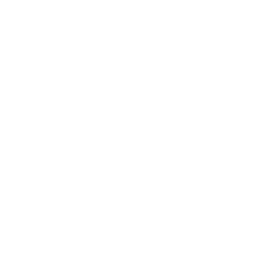 feature-item-4